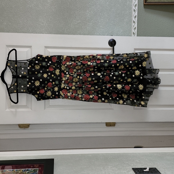 Alex Marie Lindsey sz 8 sheer and Embroidered floral dress - Picture 3 of 15